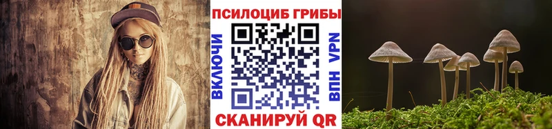 Галлюциногенные грибы Psilocybe  Осинники 